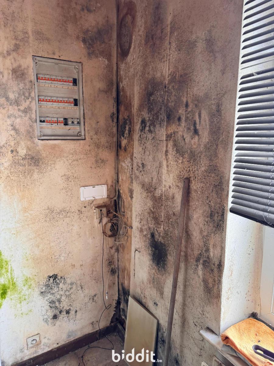 picture 7 of house 180351