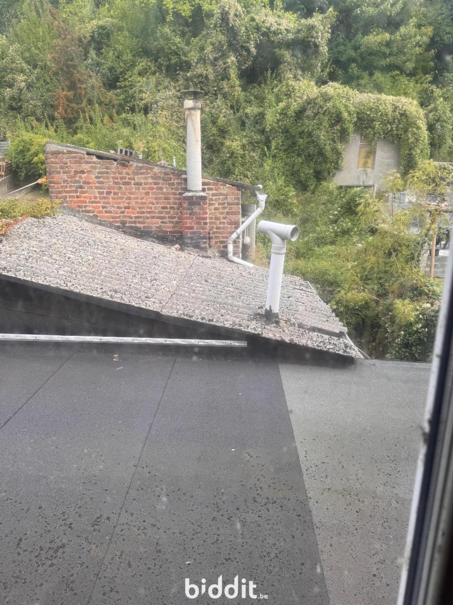 picture 11 of house 180351