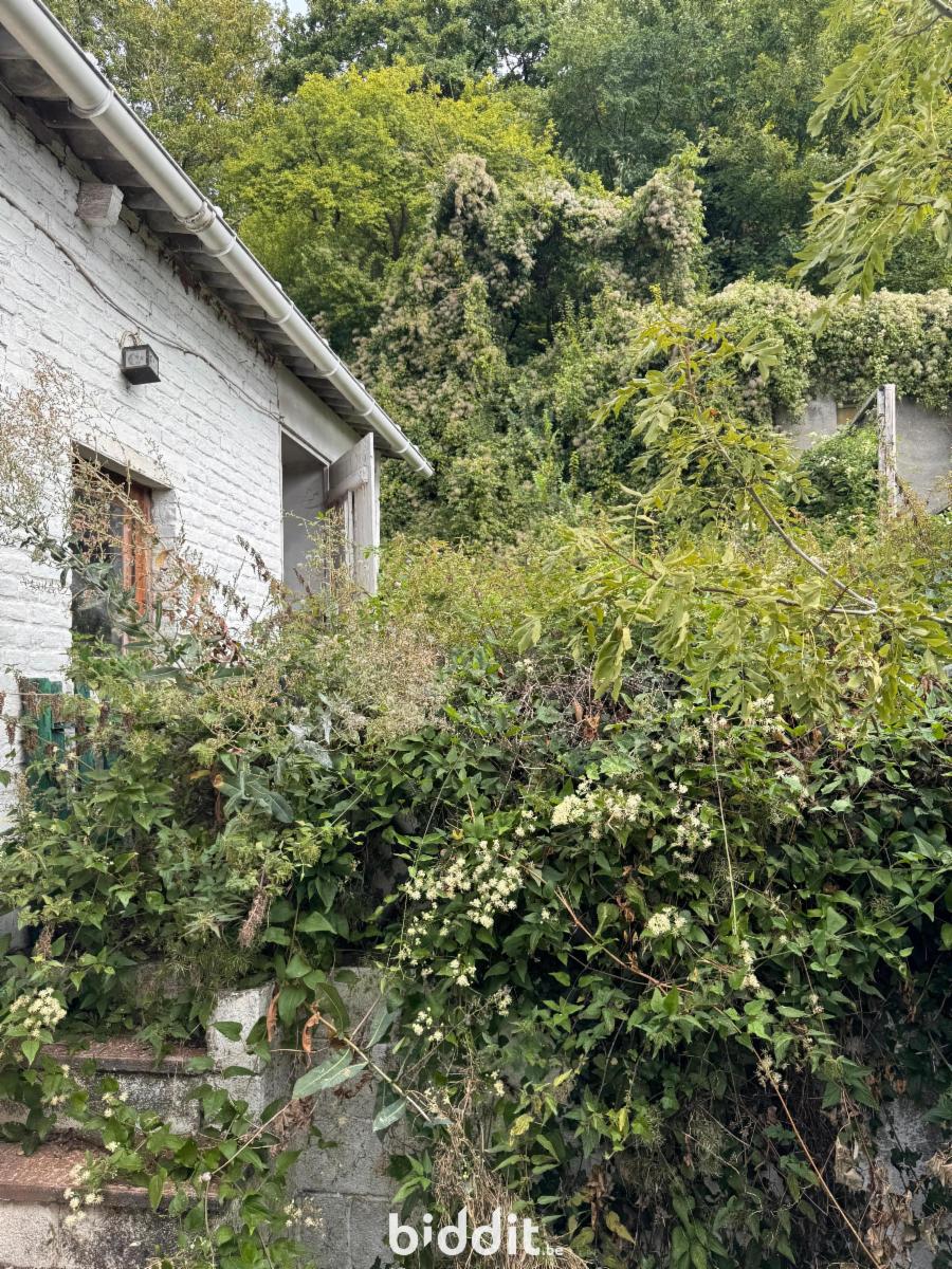 picture 16 of house 180351