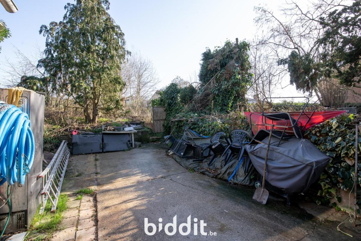 picture 3 of house 180472