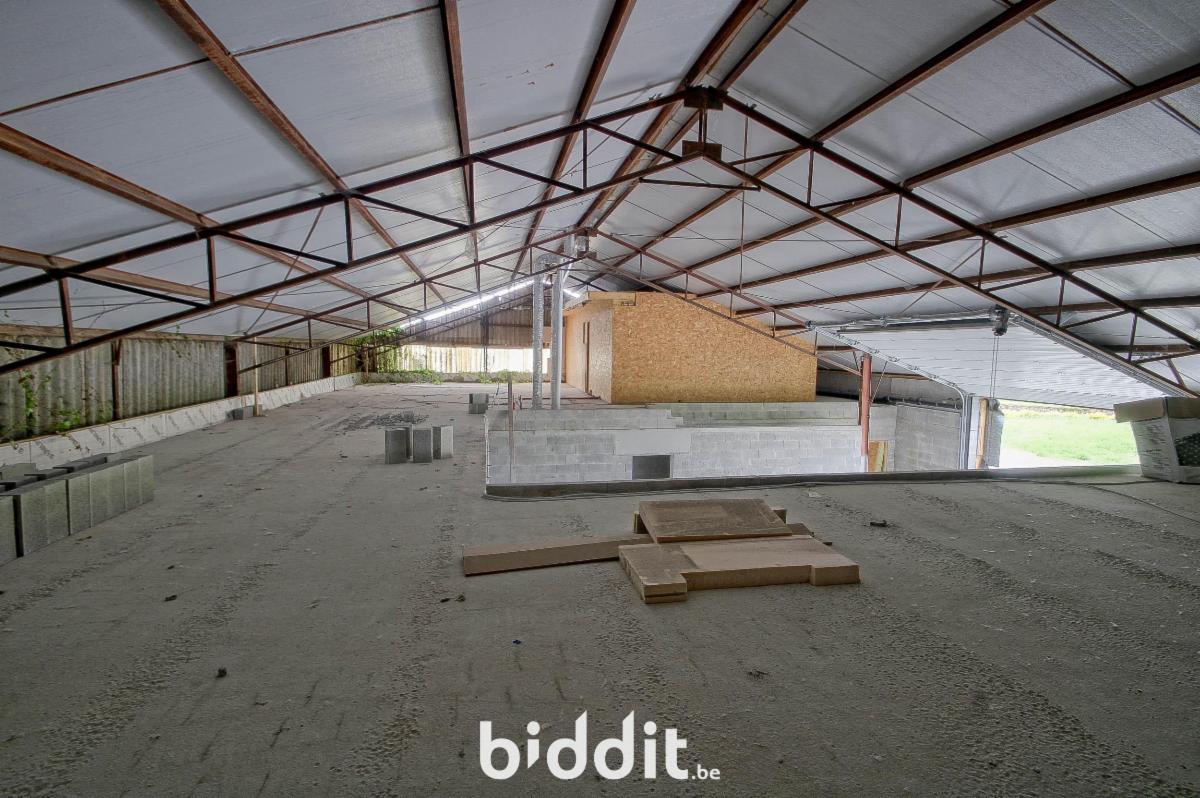 picture 11 of house 183547