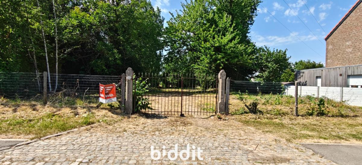 picture 3 of house 185527