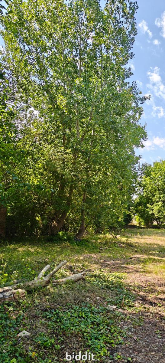 picture 10 of house 185527