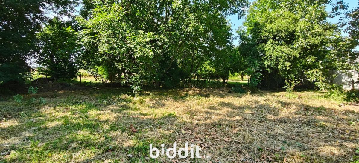 picture 11 of house 185527