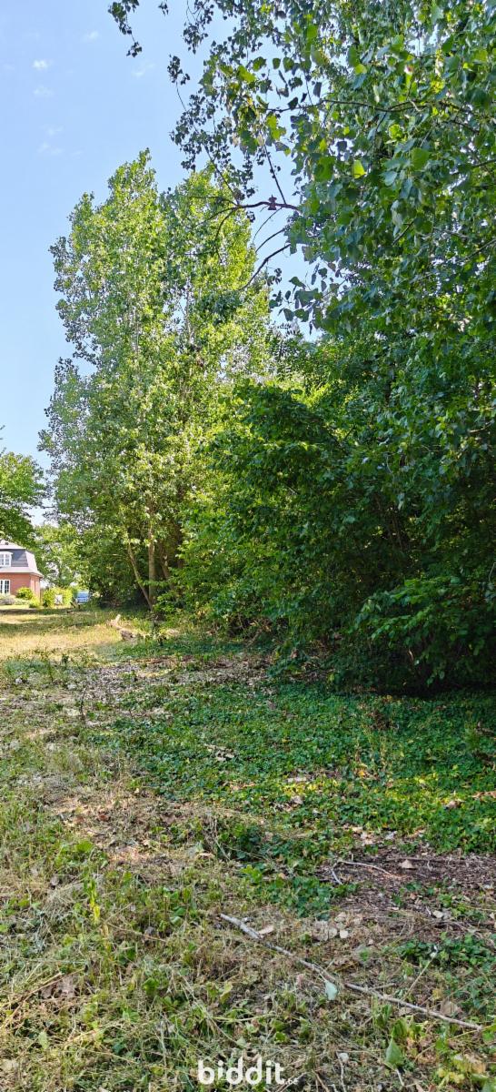 picture 14 of house 185527