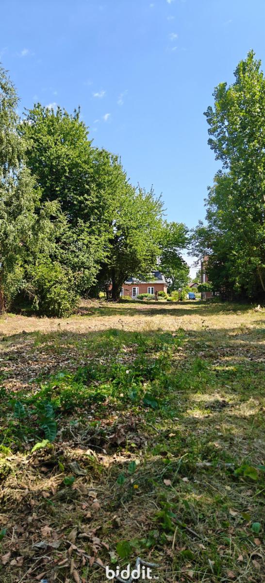 picture 15 of house 185527